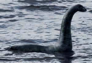 Nessie - The Adorable Lake Monster 2