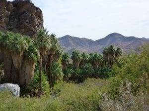 hiking in Palm Springs